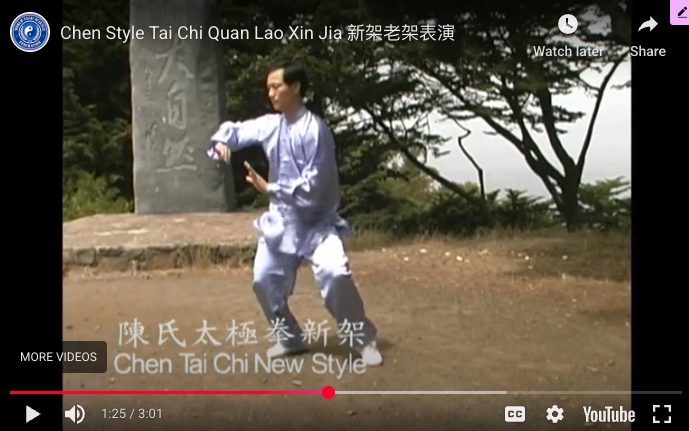 Chen Taiji introduction 