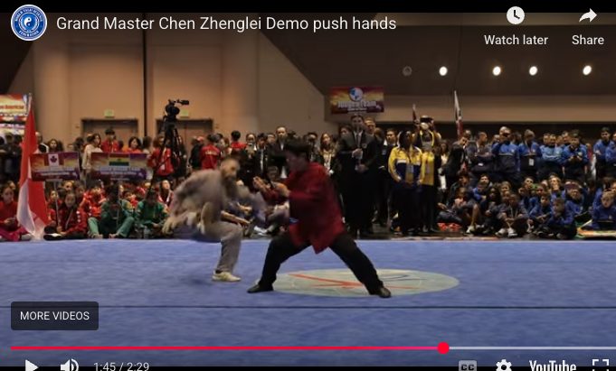 Golden State push-hands Demo 