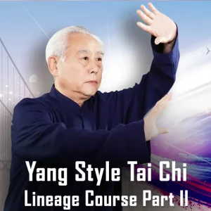 Grandmaster Zhao Youbin Yang-Style Tai Chi 28 Form – Part II | Miami