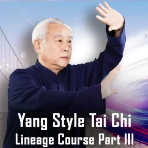 Grandmaster Zhao Youbin Yang-Style Tai Chi 28 Form – Part III | Miami